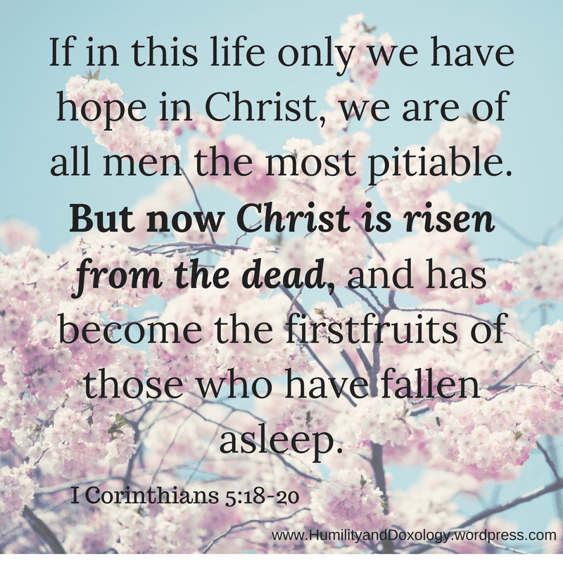If in this life only we have hope in Christ, we are of all men the most pitiable.But now Christ is risen from the dead, and has become the firstfruits of those who have fallen asleep.