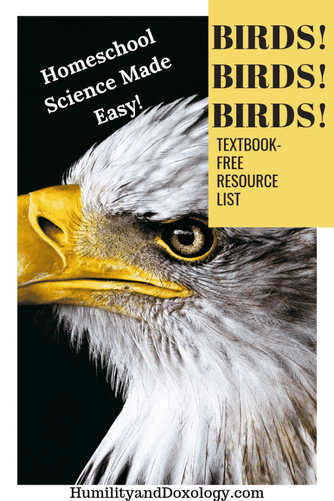 Birds Nature Study, homeschool unit study resources, bird books for kids, great backyard bird count