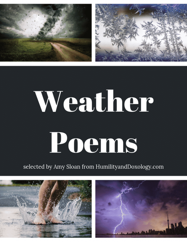 weather poems memory work collection