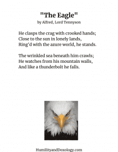 The Eagle Tennyson