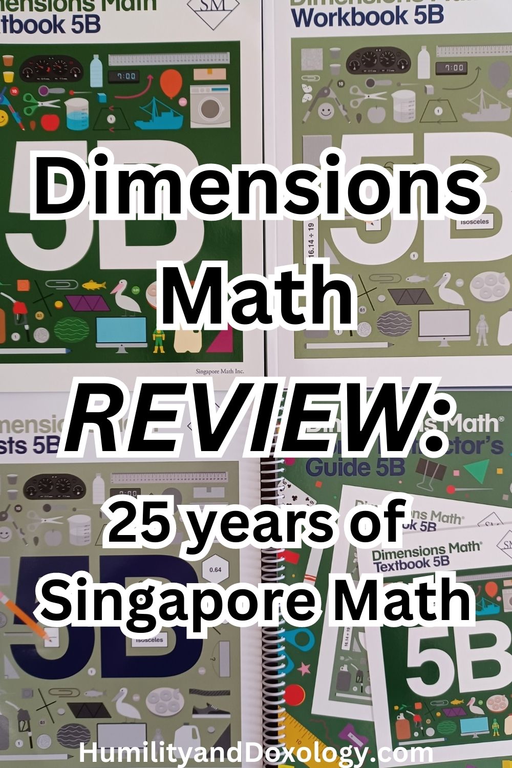 singapore math vs kumon review